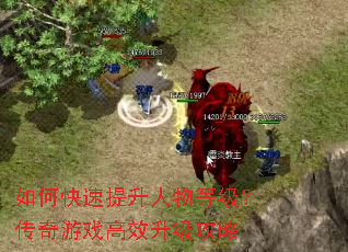 ��ο�����������ȼ���������Ϸ��Ч��������