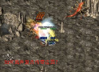 ����뿪���Ŵ���ׯ԰��