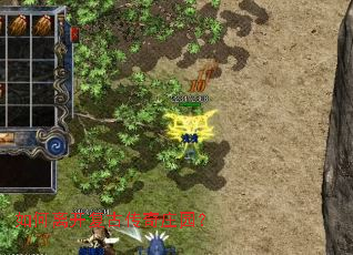 ����뿪���Ŵ���ׯ԰��