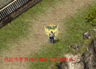 ��Ѫ������ͭ�����Լӳ�����Щ��