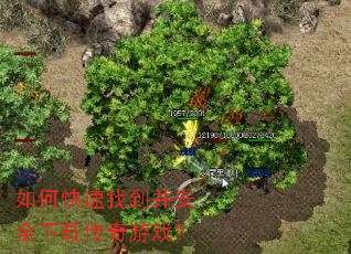 ��ο����ҵ�����ȫ���ش�����Ϸ��