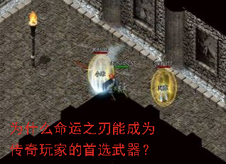 Ϊʲô����֮���ܳ�Ϊ������ҵ���ѡ������