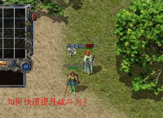 ��ο�������ս������