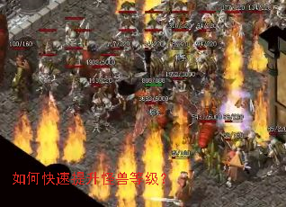 ��ο����������޵ȼ���