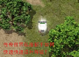 ��������˽��������ο��ٿ��������ȼ���