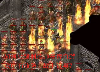 ����÷�����ʦ�ڴ�����Ϸ����Ч��ֹսʿ������