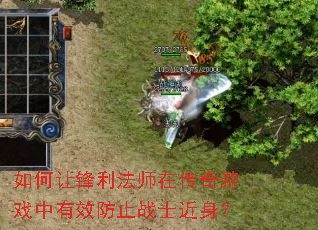 ����÷�����ʦ�ڴ�����Ϸ����Ч��ֹսʿ������