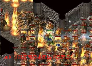 ��β������̵����Գ���Ʒװ����