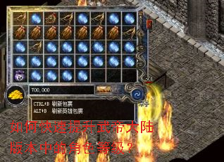 ��ο���������۴�½�汾�еĽ�ɫ�ȼ���