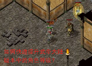 ��ο���������۴�½�汾�еĽ�ɫ�ȼ���