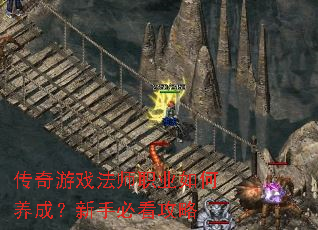 ������Ϸ��ʦְҵ������ɣ����ֱؿ�����