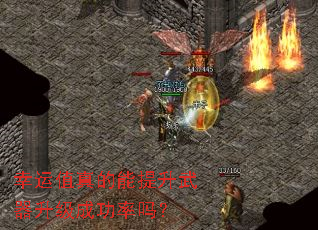 ����ֵ������������������ɹ�����