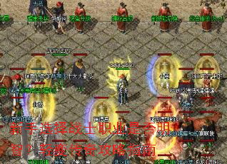 ����ѡ��սʿְҵ�Ƿ����ǣ���䴫�湥��ָ��