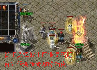 ����ѡ��սʿְҵ�Ƿ����ǣ���䴫�湥��ָ��