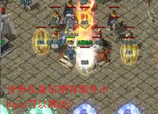 ����˽��ǰ������ЩСboss������ս��