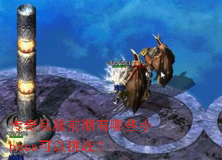 ����˽��ǰ������ЩСboss������ս��