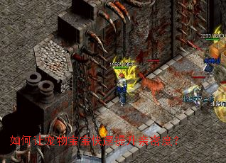 ����ó��ﱦ�������������ܶȣ�