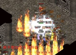 ��������ο���������