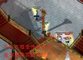 斗笠在微变传奇中究竟有哪些实用功能? 斗笠在微变传奇中究竟有哪些实用功能?