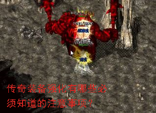 ����װ��ǿ������Щ����֪����ע�����