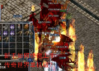 ������ο������ִ������絥���棿