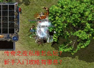 传奇之夜私服怎么玩?新手入门攻略有哪些? 传奇之夜私服怎么玩?新手入门攻略有哪些?
