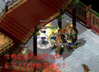 传奇之夜私服怎么玩?新手入门攻略有哪些? 传奇之夜私服怎么玩?新手入门攻略有哪些?