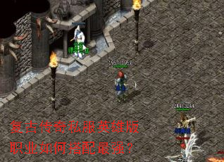 ���Ŵ���˽��Ӣ�۰�ְҵ��δ�����ǿ��