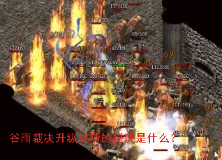 谷雨裁决升级成功的秘诀是什么? 谷雨裁决升级成功的秘诀是什么?