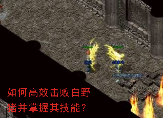 ��θ�Ч���ܰ�Ұ���������似�ܣ�