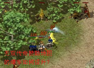 ��˫����������ͼ�ı������������