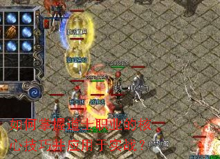 ������յ�ʿְҵ�ĺ��ļ��ɲ�Ӧ����ʵս��