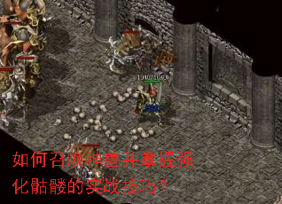 ����ٻ����޲�����ǿ�����õ�ʵս���ɣ�