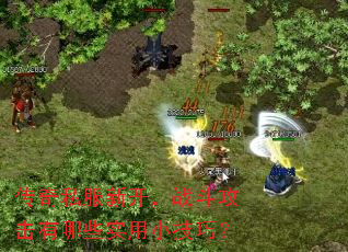 ����˽���¿���ս����������Щʵ��С���ɣ�