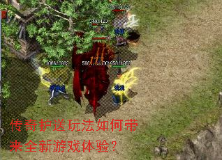 ���滤���淨��δ���ȫ����Ϸ���飿