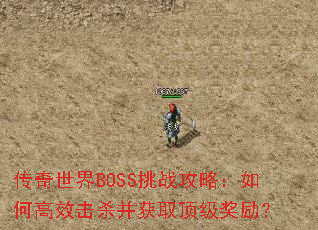 ��������BOSS��ս���ԣ���θ�Ч��ɱ����ȡ����������