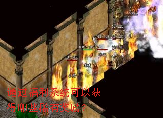 ͨ������ϵͳ���Ի����Щϡ�н�����