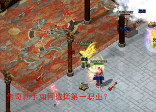 �����������ѡ���һְҵ��