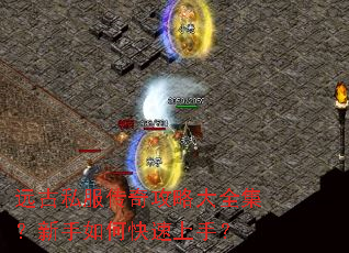 远古私服传奇攻略大全集?新手如何快速上手? 远古私服传奇攻略大全集?新手如何快速上手?