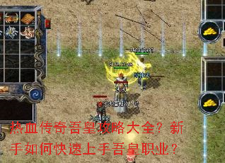 ��Ѫ������ʹ��Դ�ȫ��������ο����������ְҵ��