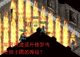 ��ο����������޴�����ʿ�ŵĵȼ���