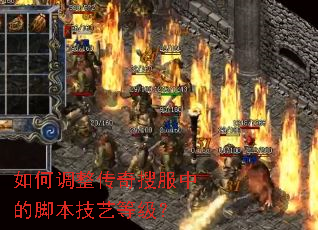 如何调整传奇搜服中的脚本技艺等级? 如何调整传奇搜服中的脚本技艺等级?