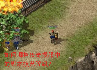 如何调整传奇搜服中的脚本技艺等级? 如何调整传奇搜服中的脚本技艺等级?