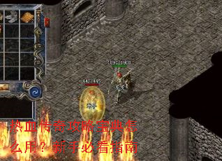 ��Ѫ���湥�Ա�����ô�ã����ֱؿ�ָ��