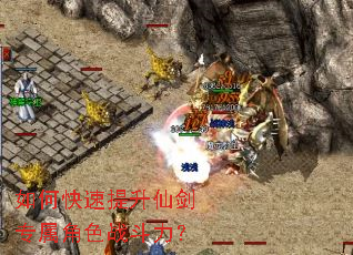 ��ο��������ɽ�ר����ɫս������