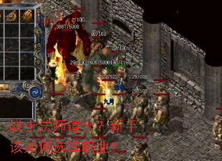 սʿ��ʦ��ʿ�����ָ����ѡ��ְҵ��