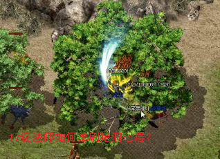 17����ʦ��ε�ˢ�����߲㣿