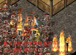 新开单职业传奇里的所有boss都能挑战吗? 新开单职业传奇里的所有boss都能挑战吗?