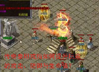 ����̩̹��ָ���������ҵĹ���������������ֵ��