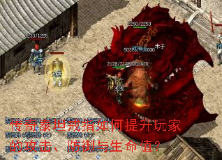 ����̩̹��ָ���������ҵĹ���������������ֵ��